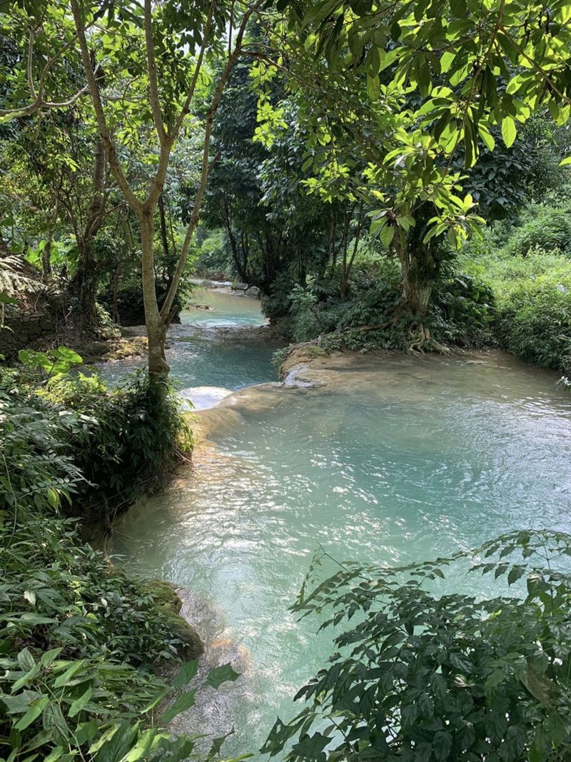 suối trong cảnh thiên nhiên yên bình