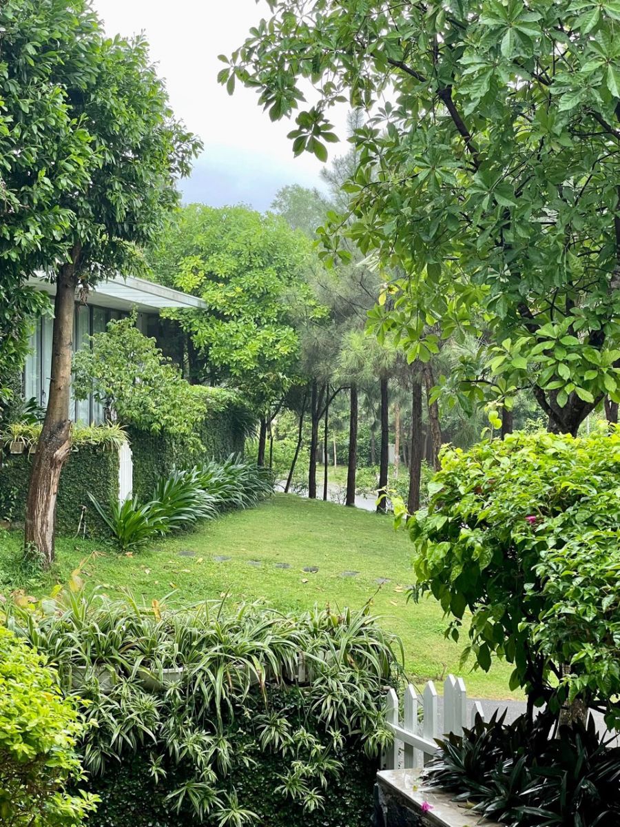 cây xanh nhiều tạo sự hài hòa cho căn villa