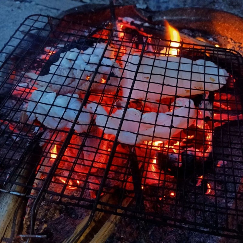 nướng bbq bên gia đình