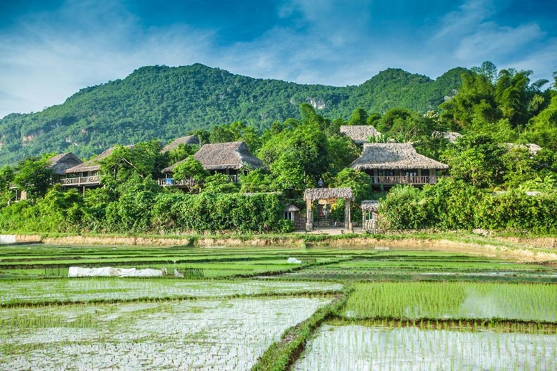 Mai Châu Ecolodge Resort - khu nghỉ dưỡng cao cấp 